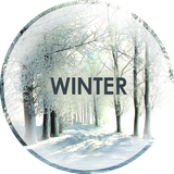 com.david_wallpapers.winter