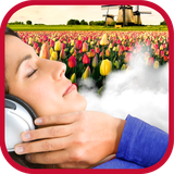 ir.tinasoft.dutch_in_sleep_s