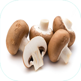 com.sra_sqltlm.anvaeghazabaqarch