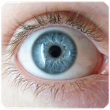 com.aseman.abi.apps.mor.cheshm.sh