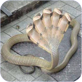 chetor.hevanateajebolkhelghe