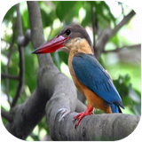 folad.parandeganeoganda