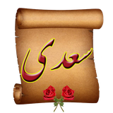 com.vfpsite.Saedi_V_