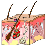 ir.tashkhes.va.darmane.bemare.poste.d00