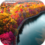 com.Autumn.wallpaper.image.background.wallpaper