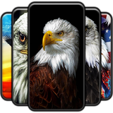 com.andromo.dev623845.app681394