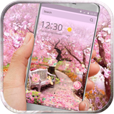 spring.flowers.pink.blossom