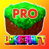 com.lokicraft.lokipro20