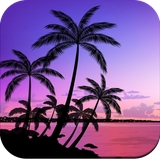 com.Tropicalwallpaperhd.tropicalbeachwallpaper.Tropicalbackgroundwallpaper