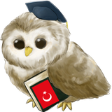com.metalanguage.learnturkishfree