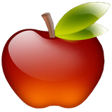 com.gau.go.launcherex.theme.rat