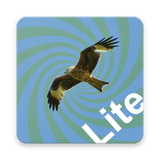 com.drewsalem.findthecorelite