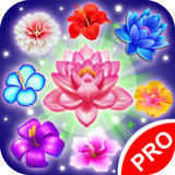 com.blueskyhugoteam.flowerblast