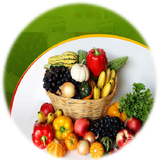 ir.projectt.vegetables