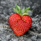 com.Infinity.strawberry