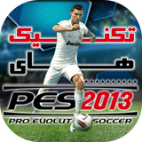 com.PESTOOP.pes2013