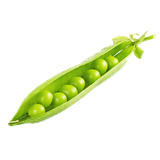 mehza2000.mehza200015