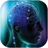 tehran.tarikheolumeasaab