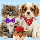 com.cosmicmobile.app.talkingfriends