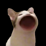 kr.pe.lala.popcat