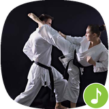 io.appp.sounds.karate