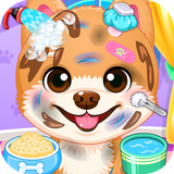 bwebmedia.puppys.first.caring.at.grooming.salon
