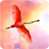 com.andromo.dev680484.app703709