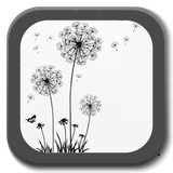 duhnnae.com.wishesanddesires