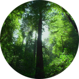 com.jungle.abr.abrjungle