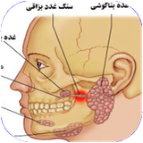 mobtaker.bimarihayeghodad
