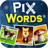 com.dekovir.pixwords