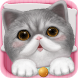 com.lonfun.cat