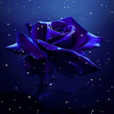 com.amanrajapps.snowybluerose
