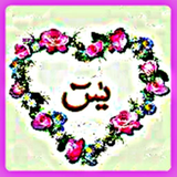com.andromo.dev27966.app211566