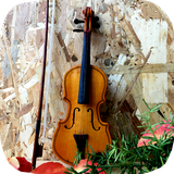 ir.tinasoft.violin_at_home