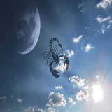 modir.ghamar.dar.aghrab