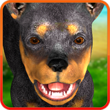 com.cosmicmobile.app.dog_on_screen_doberman