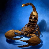 com.myapp.Scorpion.HdWallpaper