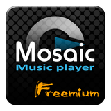 com.TFiveR.mosaicplayer