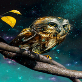 com.amanrajapps.goldenowl