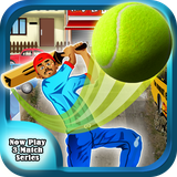 com.game.edstudio.am.cricketstreetcup