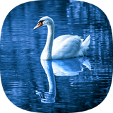 com.waterreflection.mehrsoft