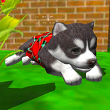 com.vARDAmirsGameStudio.CutePocketPuppy3D