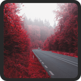 com.redautumnrainy.livewallpaper