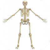 folad.ostokhanvamafasel