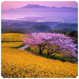 smile.com.AnimeJigsawPuzzles