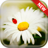 com.andromo.dev518376.app501039