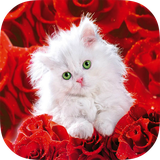 com.hdbackgroundsworld.catsbackgrounds