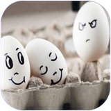 fars.hasadat