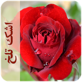 com.imnet.ashktalkh